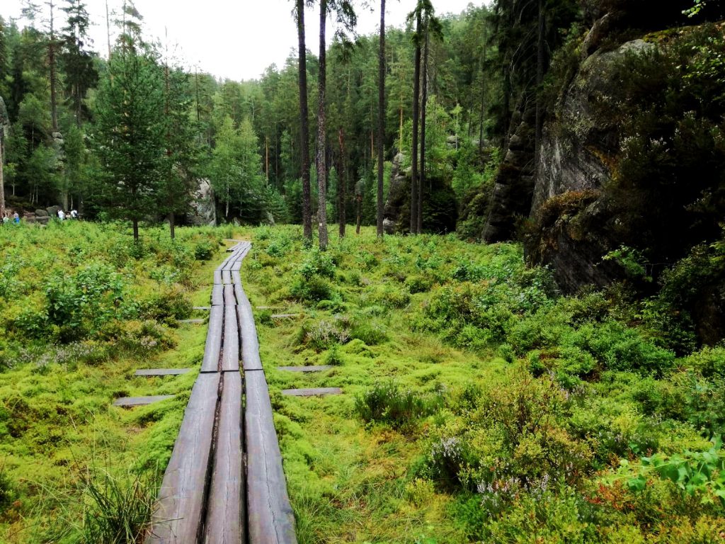 Skalne miasto w Teplicach-kładki dla turystów nawet przez leśną polanę